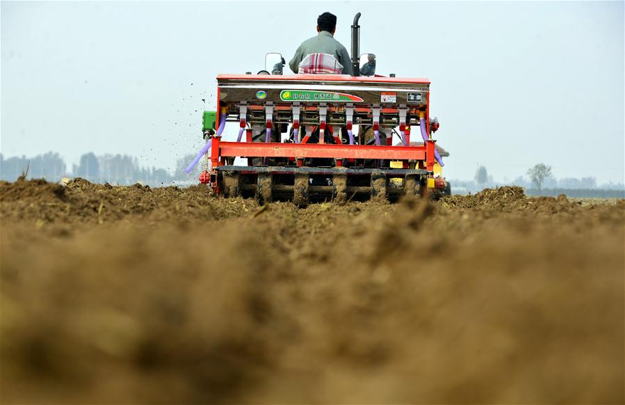 常见作物播种深度速查表